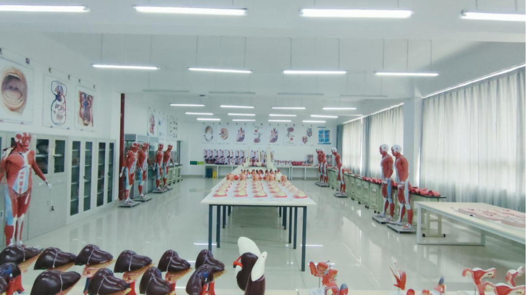 Ky开元集团特色专业 | 医学影像技术