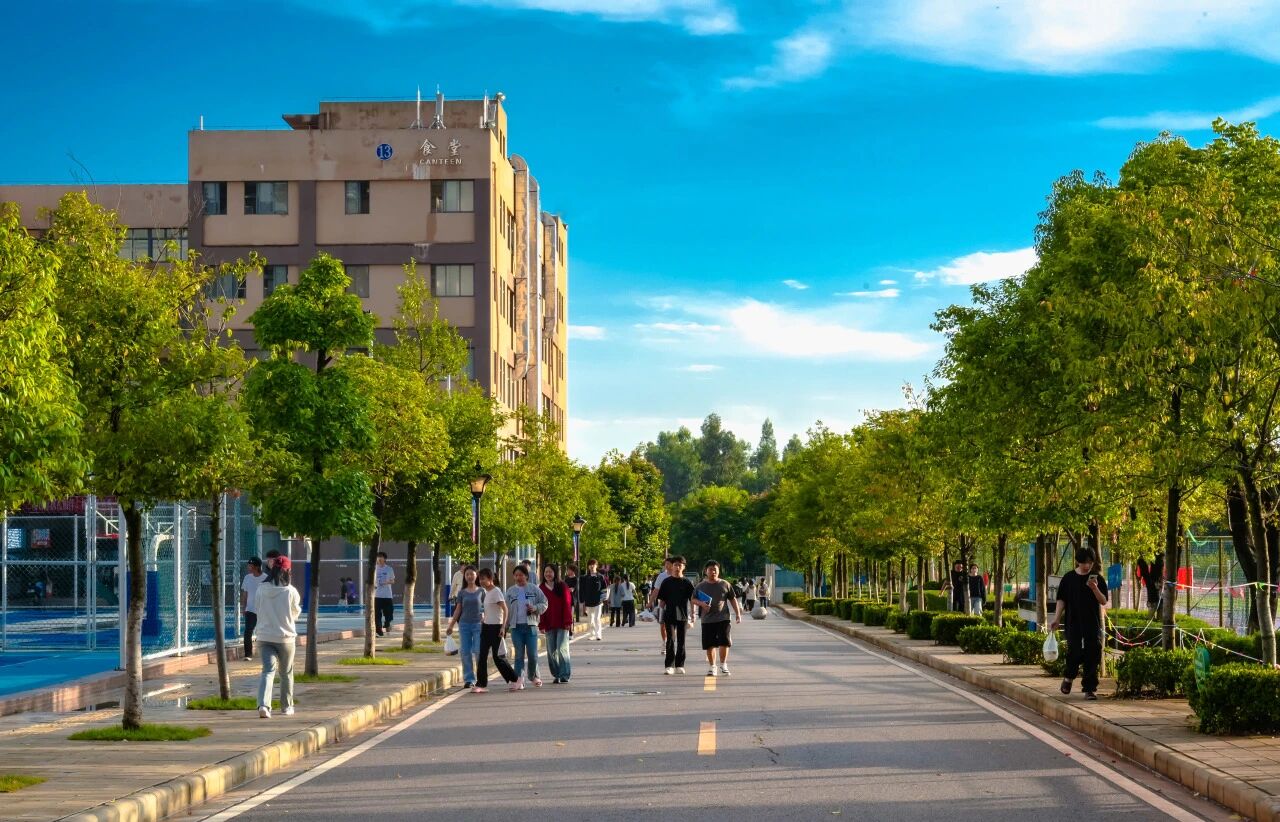 Ky开元集团在2025年云南省职业院校技能大赛中斩获佳绩